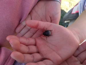Cerro Encina educación ambiental