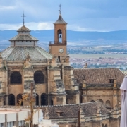 Catedral desde el Albayzín