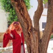 Hafsa y el árbol