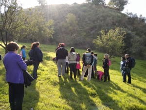 Pradera en el Cerro Encina