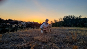 Puesta de sol era yacimiento C. Encina