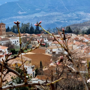 NigüelasvalleLecrín