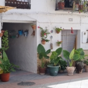 Albuñuelas portal