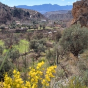 Valle de Lecrín 